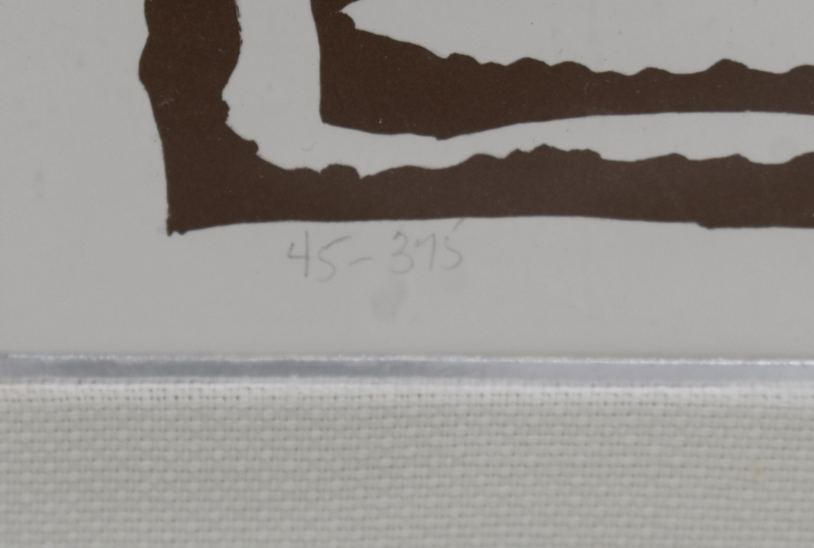 Framed Color Lithograph by Pablo Picasso, Limited Edition, Numbered 45 / 375