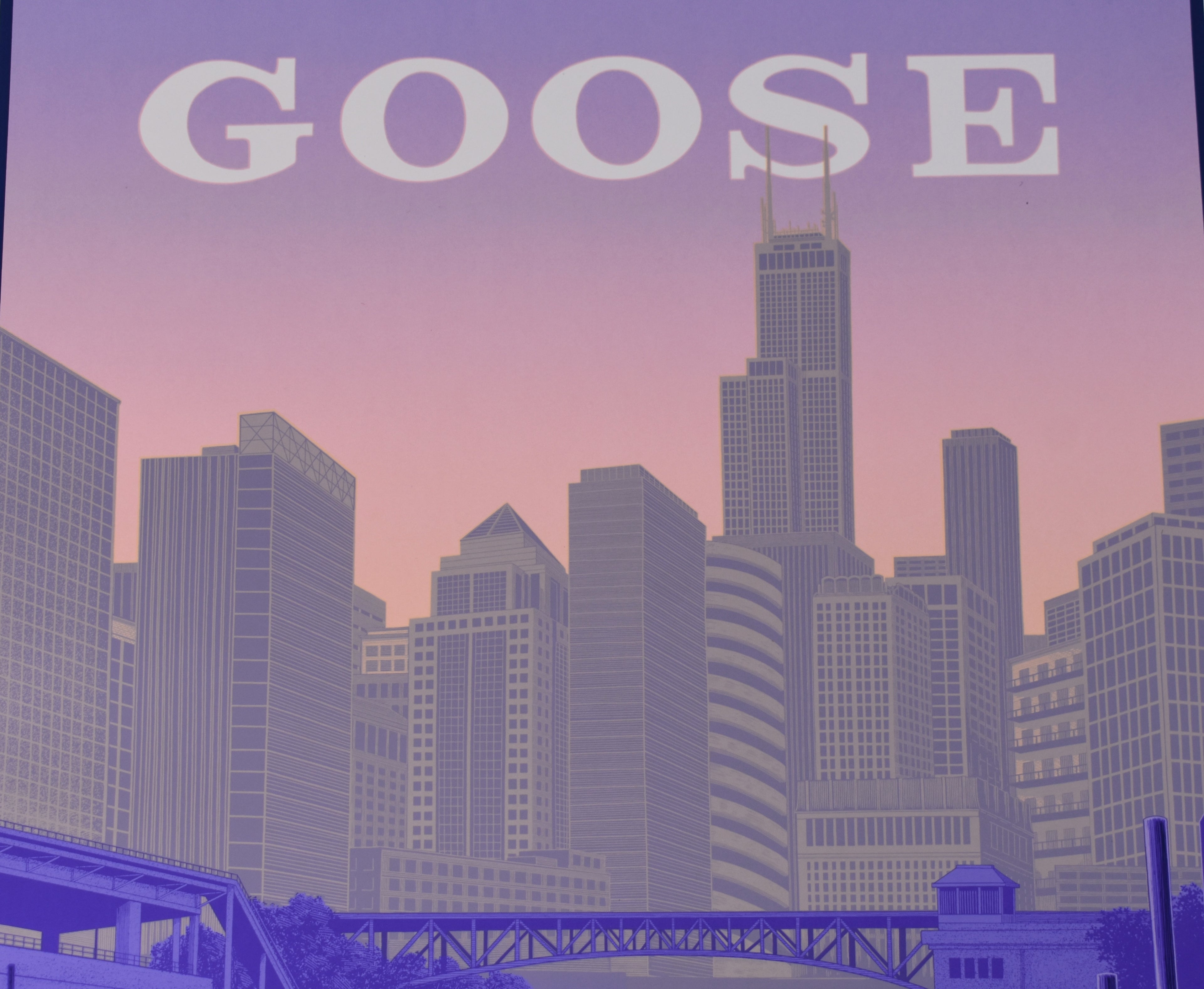 Goose The Band Concert Poster, The Salt Shed Chicago, Justin Santora S/N 202/250